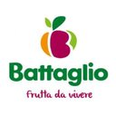 Battaglio SPA company logo
