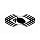 Black Olive Ventures Pvt. Ltd. company logo