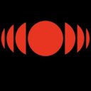 Nippon Paint India Pvt Ltd company logo