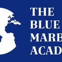 The Blue Marble Academy company logo