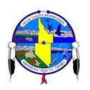 Shoshone-Paiute Tribes company logo