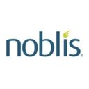 Noblis company logo
