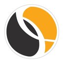 COEUS Solutions LLC company logo