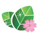 Primavera Cleaning Service company logo