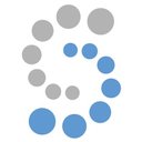 Softline Solutions company logo