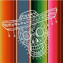 Paco's Tacos &amp; Tequila company logo
