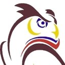 Wise Medical company logo