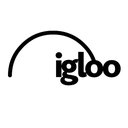Igloo Vision Ltd company logo