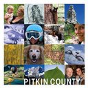 Pitkin County company logo