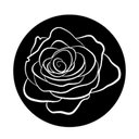 SLEEPING BEAUTY SALON company logo