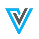 Vasundhara Infotech company logo