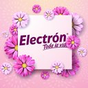 AGUA ELECTRON company logo