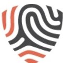 BigID company logo