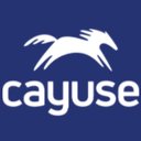 Cayuse company logo