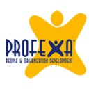 Profexa Consulting srl company logo