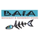 BAIA company logo