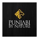 Punjabi By Nature company logo
