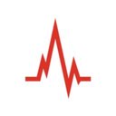 Peak Physical Therapy company logo