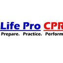 Life Pro Safety Services LLC company logo