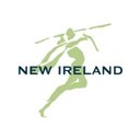 New Ireland Assurance company logo