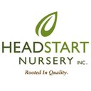Headstart Nursery company logo