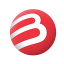 Beaulieu International Group company logo