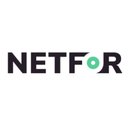Netfor, Inc. company logo