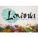 Lovania Nurseries Ltd company logo