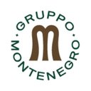 Gruppo Montenegro company logo