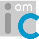 David Jin CPA, P.C. company logo