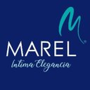 Marel de México company logo