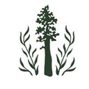 Momentum Behavior Services company logo