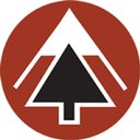 Alpine Entertainment company logo