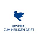 Hospital zum Heiligen Geist gGmbH company logo