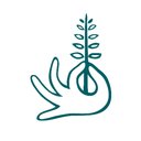 Springbone Kitchen company logo