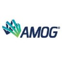 AMOG Consulting company logo