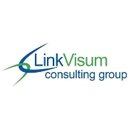 LinkVisum Consulting Group, Inc. company logo