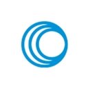 CIC Consulting Informático company logo