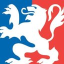 Ville de Lyon company logo