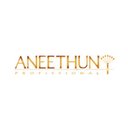 Aneethun Profissional company logo
