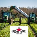 McCall Farms company logo