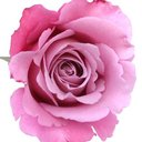Georgina Beauty Rooms Ltd company logo