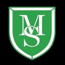 MainSicherheit company logo