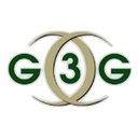 The Gemini 3 Group, Inc. company logo
