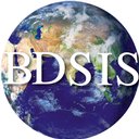 B D Somani International School company logo