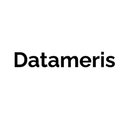 Datameris IT Solutions Pvt Ltd company logo