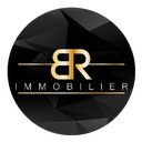 BR Immobilier company logo