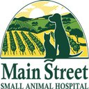 Main Street Small Animal Hospital company logo