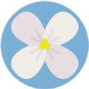 Dogwood Autism Services company logo