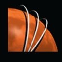 Malin Space Science Systems company logo